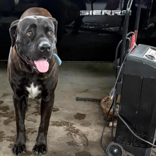 Pop Em All (feat. Prod. Bradl3y) [Explicit]