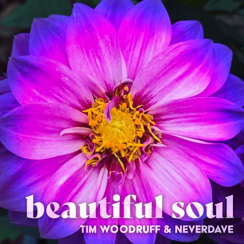 Beautiful Soul (feat. Neverdave)