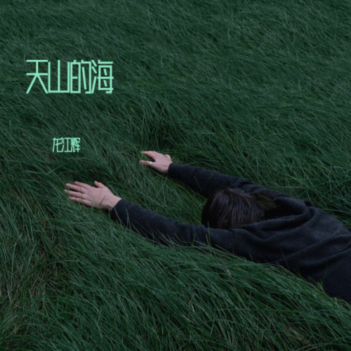 天山的海