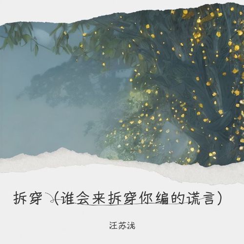 拆穿（谁会来拆穿你编的谎言）