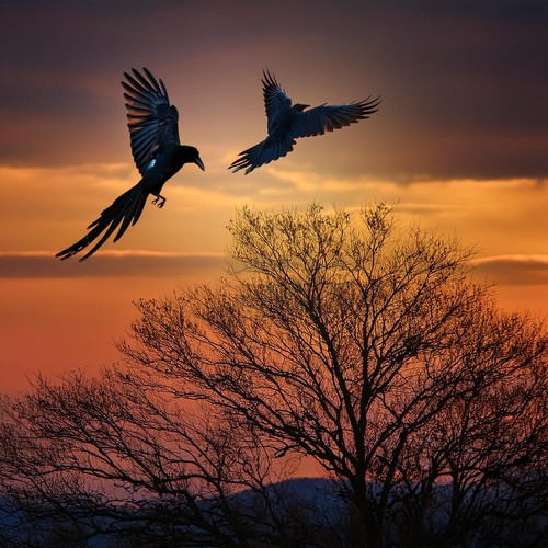 Sonidos Calmantes Para Un Momento Perfecto De Relajación