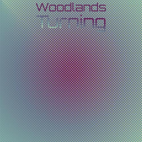 Woodlands Turning