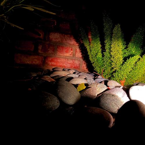 Pimp Lame (Explicit)