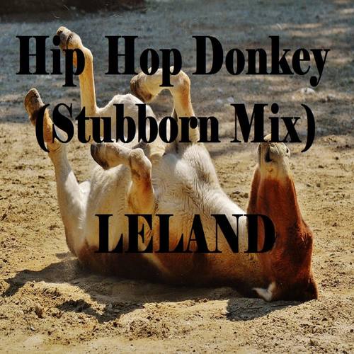 Hip Hop Donkey (Stubborn Mix) [Explicit]