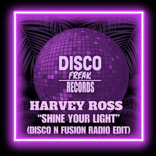 Shine Your Light (Disco N Fusion Radio Edit)