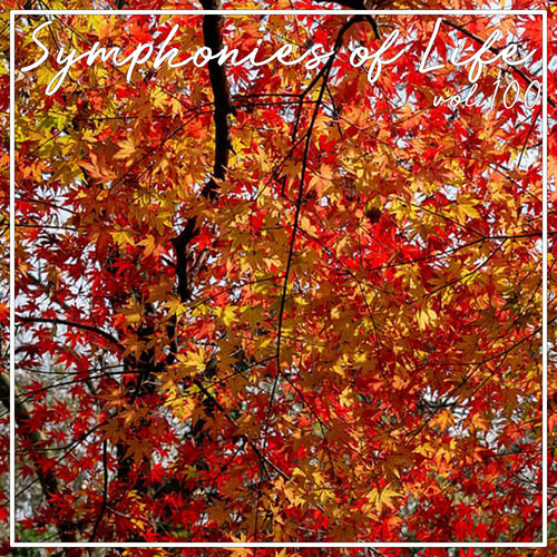 Symphonies of Life, Vol. 100 (Explicit)