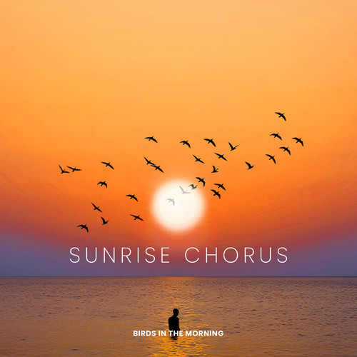 Sunrise Chorus