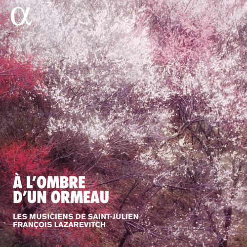 À l'ombre d'un ormeau