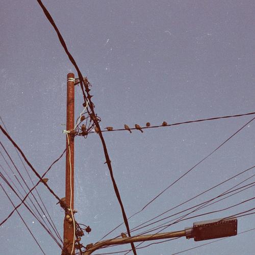 family's doing fine. (feat. Gora & Bayb Rio) [Explicit]