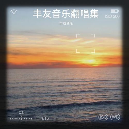 丰友音乐翻唱集