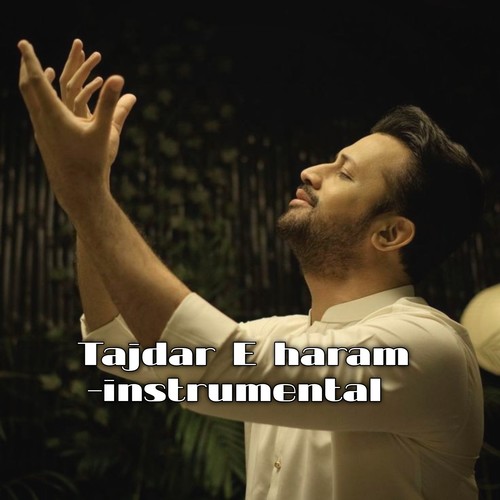 Tajdar E haram- instrumental