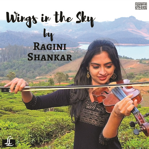 Wings in the Sky - Single