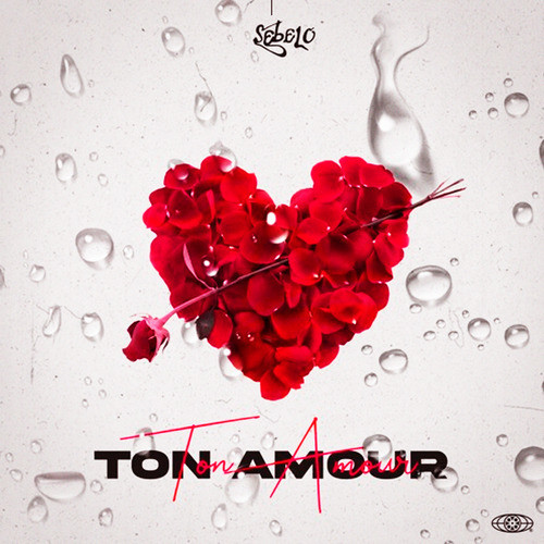 Ton amour (Explicit)
