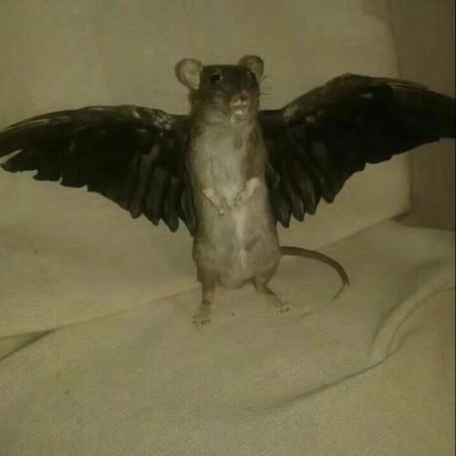 Enjoy The View (Explicit)