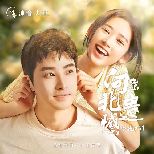 向北的遗憾 电视剧原声带