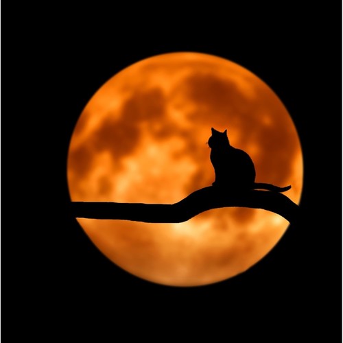 100 Relaxation Sounds of Nature for for Sleep, Calm Night, Relaxation Music, Soft Music