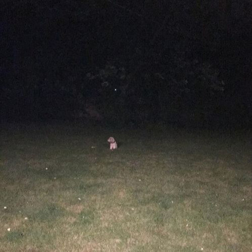 louie's lullaby (rest in peace)