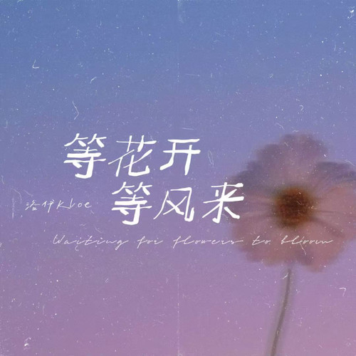 等花开 等风来