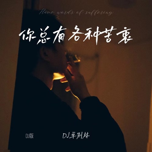 你总有各种苦衷 (DJ版)