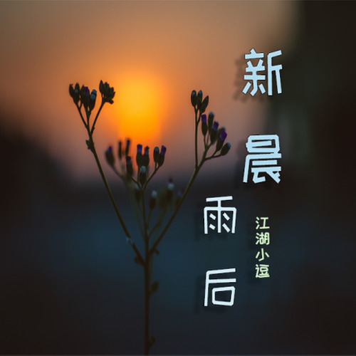 新晨雨后