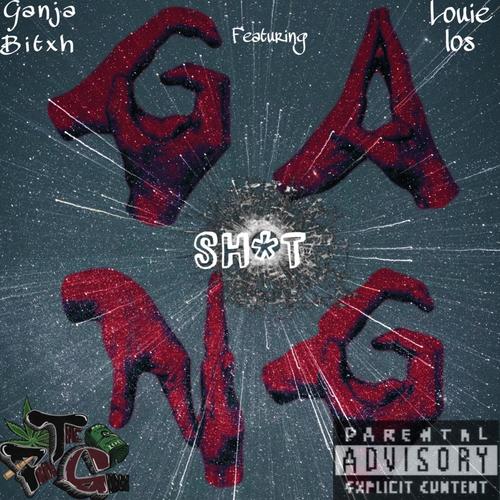 Gang **** (feat. louie los) [Explicit]