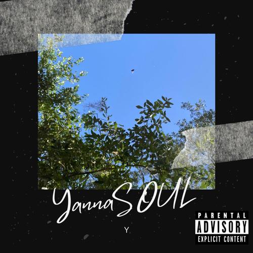 Y (Explicit)