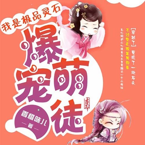 我是极品灵石：爆宠萌徒