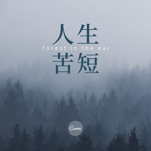 人生苦短（dj）