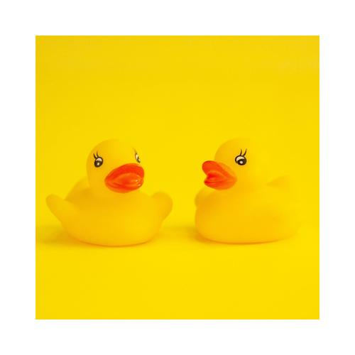 Cat Walking (Funny Music)