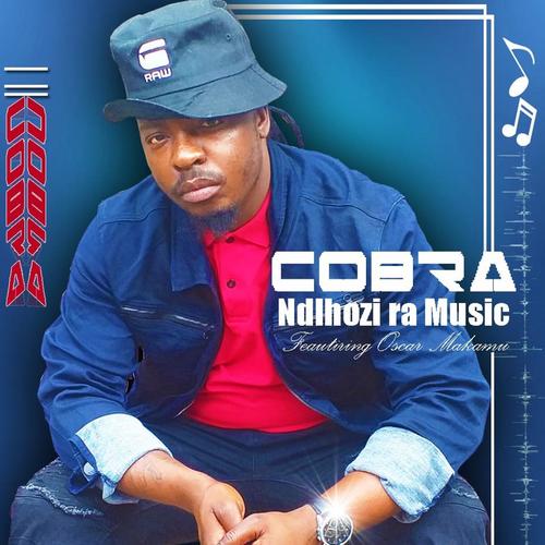 Ndlhozi Ra Music