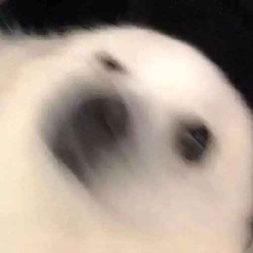 丝丝的翻唱电台