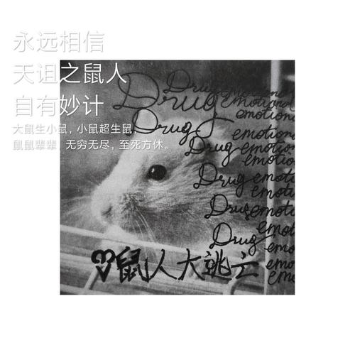 吠妄至上