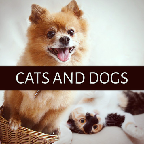 Cats and Dogs - Soft Melodies for Puppies & Kittens That Will Keep Them Company, Music for Pets While You Are Out