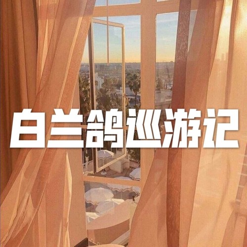 白兰鸽巡游记