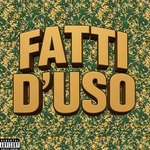 FATTI D'USO (Explicit)