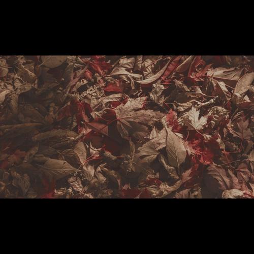 ASYLUM (feat. TheAfterParty)