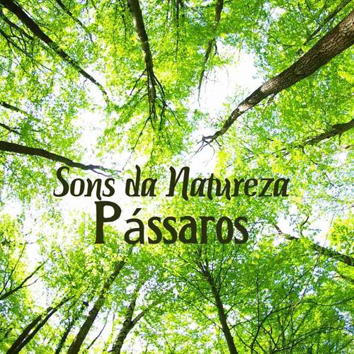 Sons da Natureza: Pássaros (Música para Meditação, Música Clássica e Sonora e Músicas para Meditação