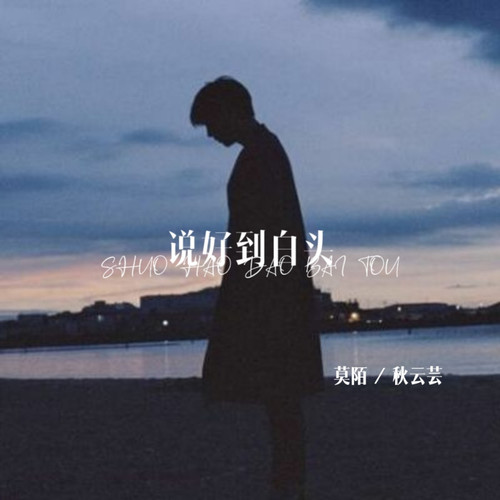 说好到白头