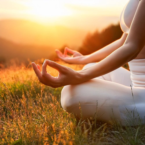 Vibraciones De Quietud Lofi Para Una Meditación Concentrada