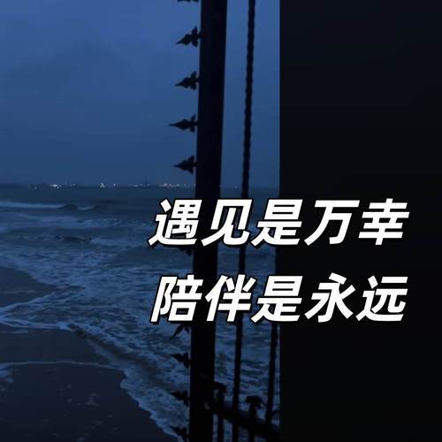 遇见是万幸 陪伴是永远