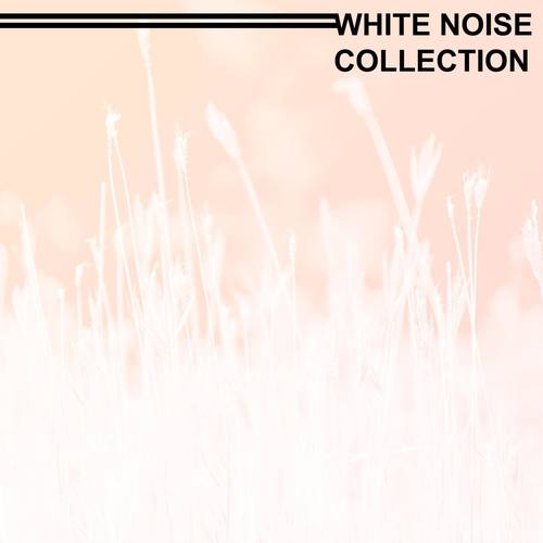 River in Jungle Rainforest 4