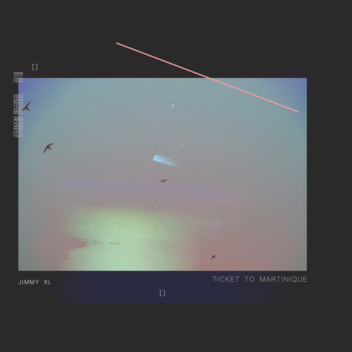 Ticket to martinique