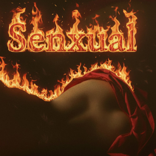 Instrumental De Ditroid Senxual (Explicit)