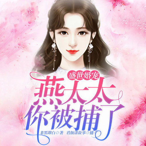 盛世婚宠:燕太太你被捕了|罚你在我心上一辈子