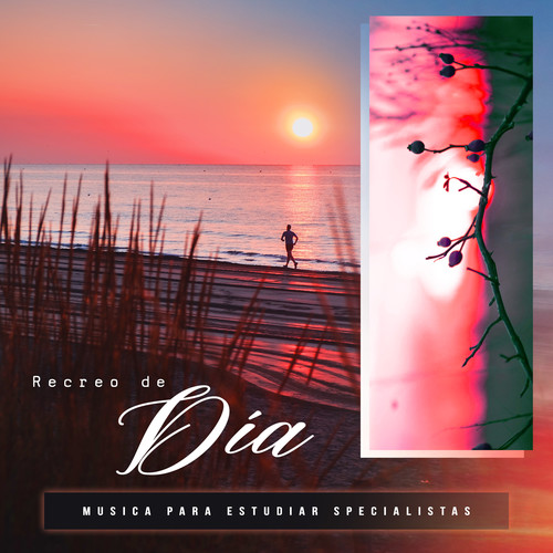 Recreo de Día