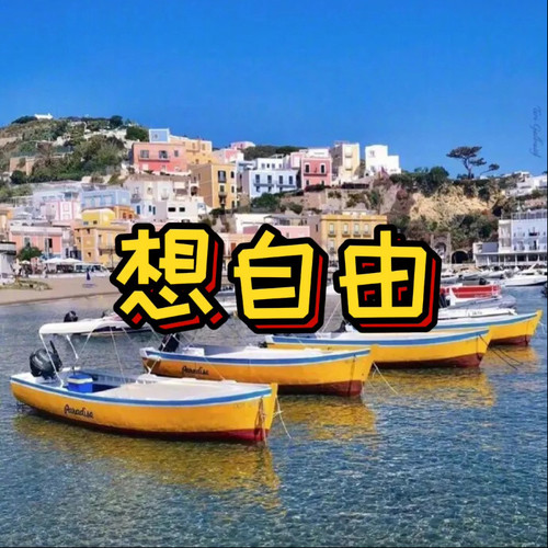 想自由