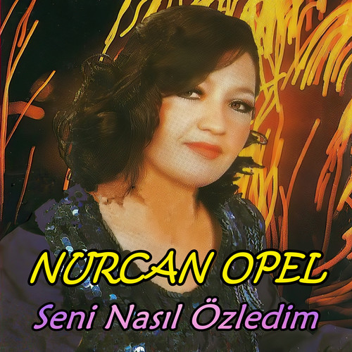 Seni Nasıl Özledim