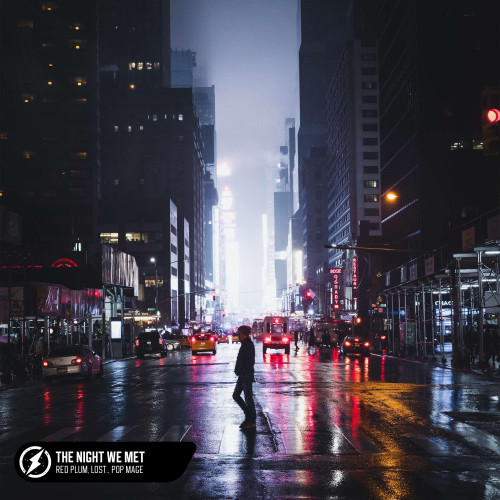 The Night We Met (Acoustic)