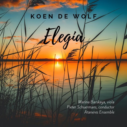 Koen De Wolf: Elegia