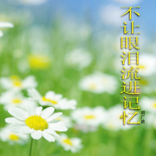 不让眼泪流进记忆